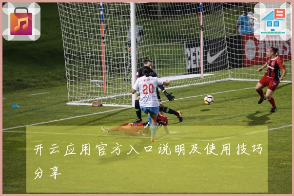 开云应用官方入口说明及使用技巧分享