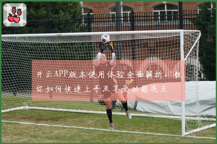 开云APP版本使用体验全面解析，教你如何快速上手及享受功能亮点