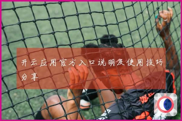 开云应用官方入口说明及使用技巧分享